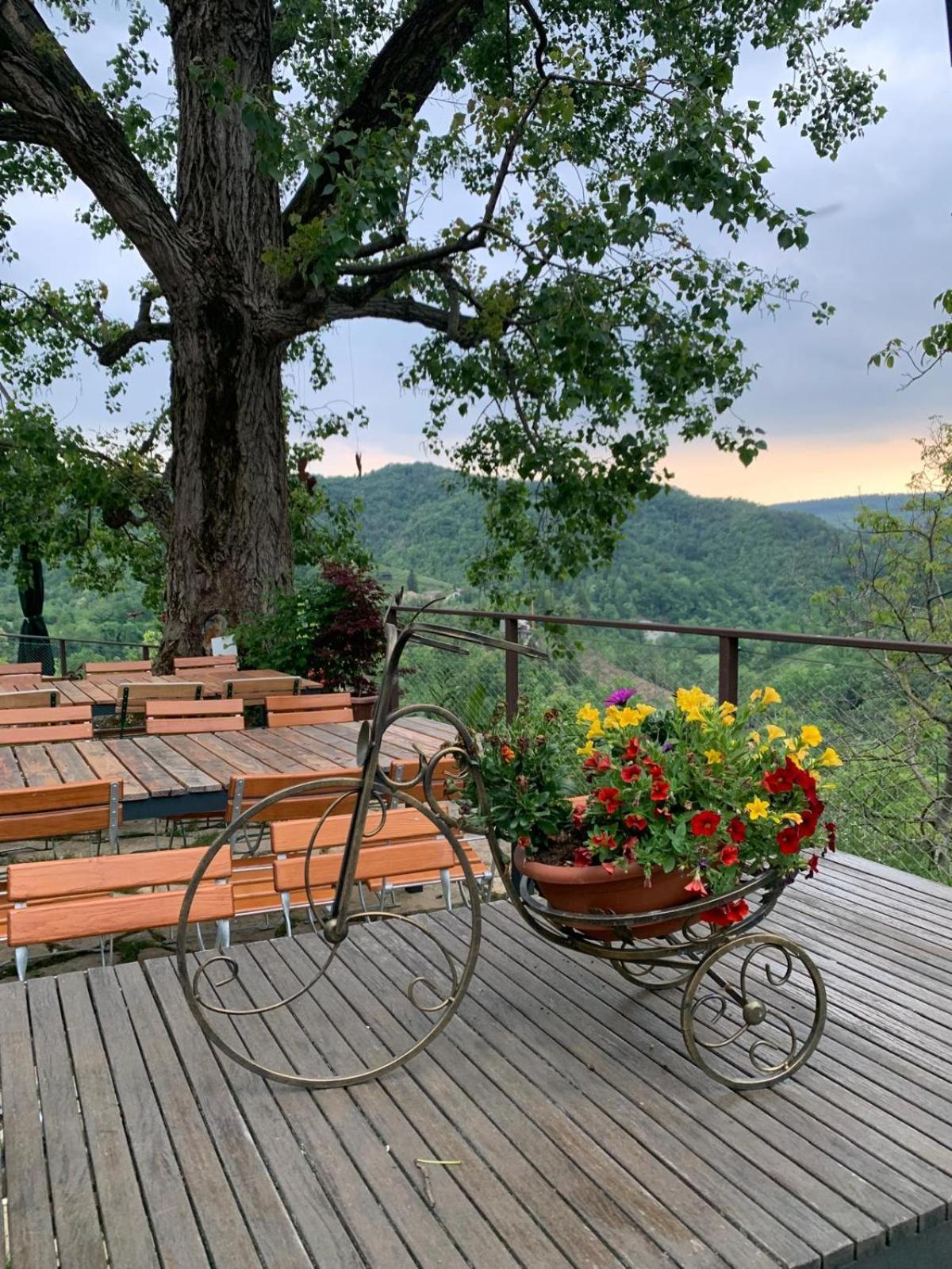 Agriturismo Le Noci Tarzo Exterior photo